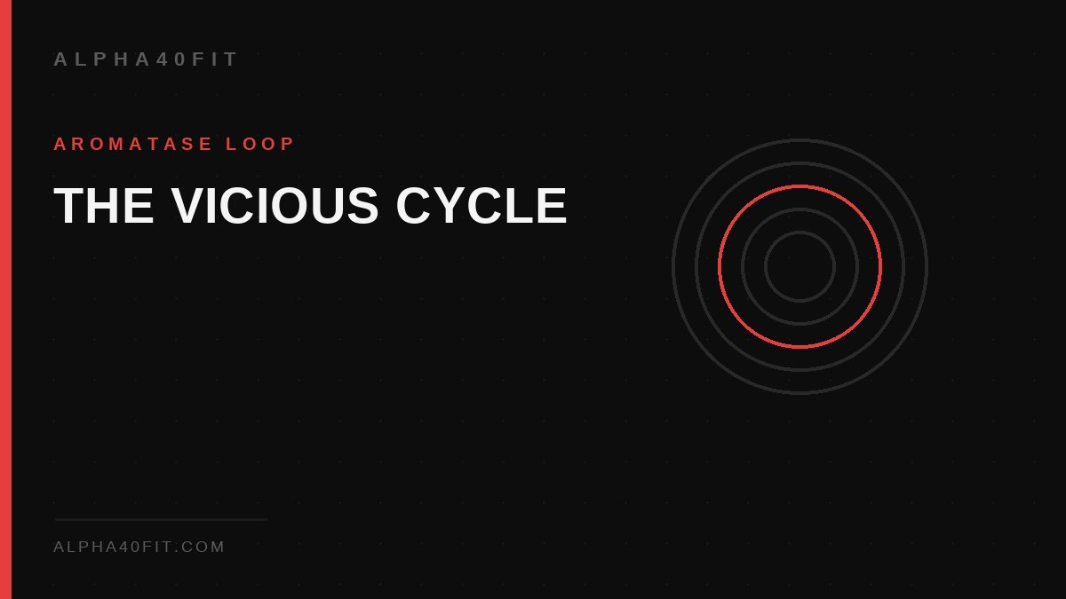 Diagram concept — the vicious cycle of belly fat and low testosterone