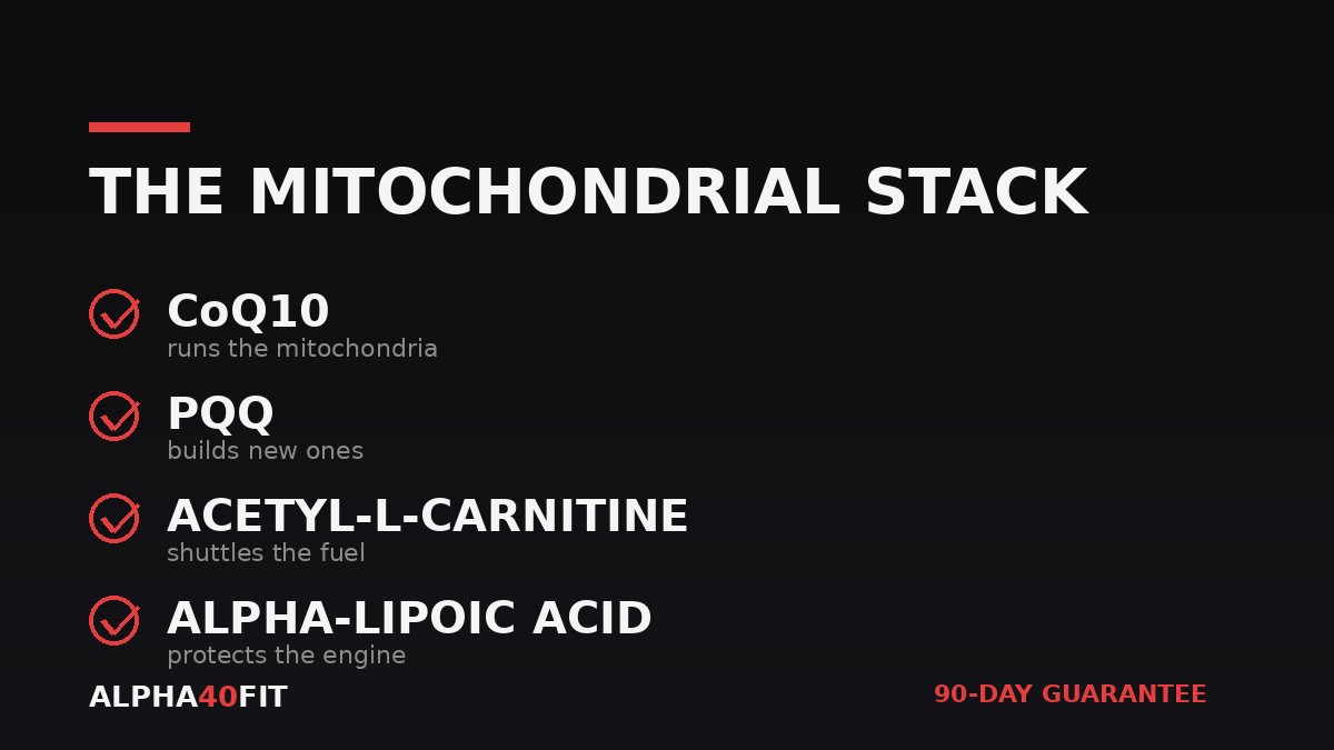 The mitochondrial supplement stack — CoQ10, PQQ, acetyl-L-carnitine and alpha-lipoic acid in one formula