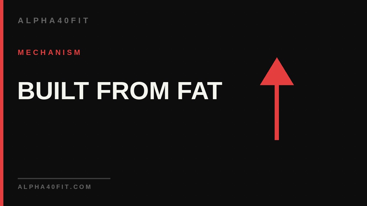 What raises free testosterone after 40 - beyond diet