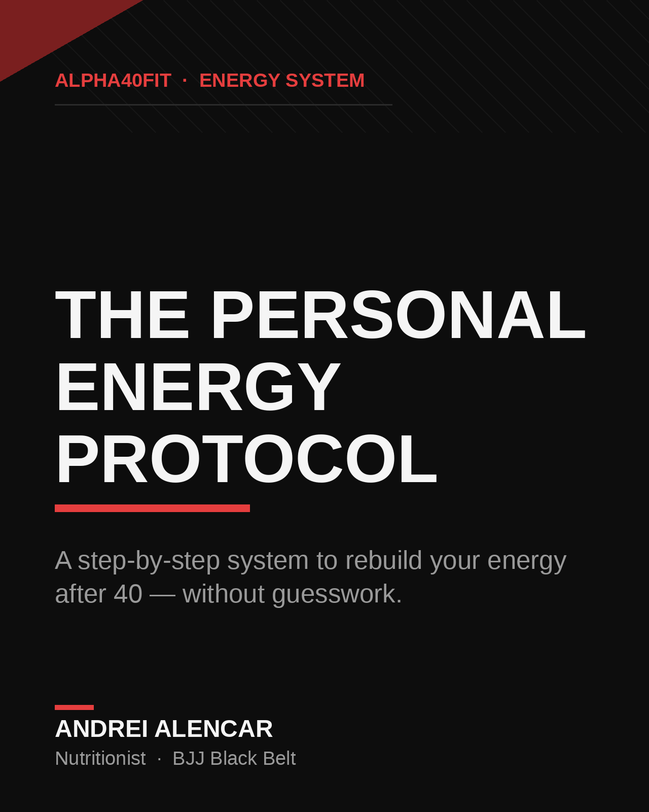 The Personal Energy Protocol — custom 4-week energy-recovery protocol for men over 40